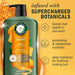 Herbal Essences - Champú hidratante diario sin sulfatos con miel - 20.2 oz - Quierox - Tienda Online
