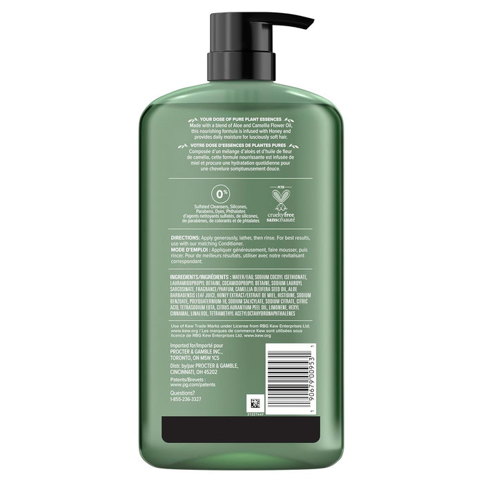 Herbal Essences - Champú hidratante diario sin sulfatos con miel - 20.2 oz - Quierox - Tienda Online
