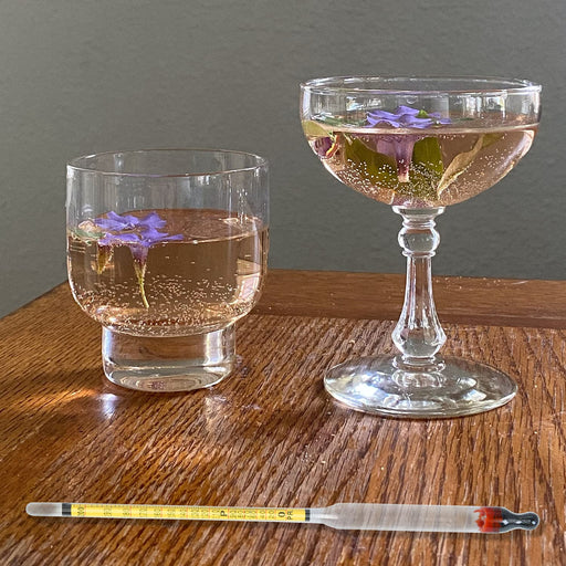 Hidrómetro de alcohol de 0 a 200 grados y comprobador de grado de alcohol - Quierox - Tienda Online