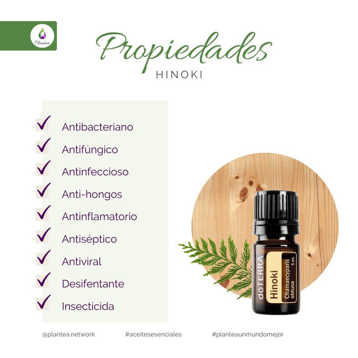 Hinoki: la madera de los milenarios templos japoneses ahora en el calor de tu hogar - Quierox - Tienda Online