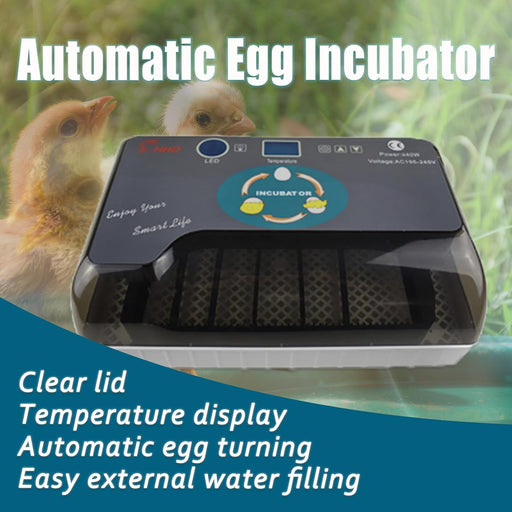 Incubadora automática para 12 - 35 huevos con volteador automático - Quierox - Tienda Online