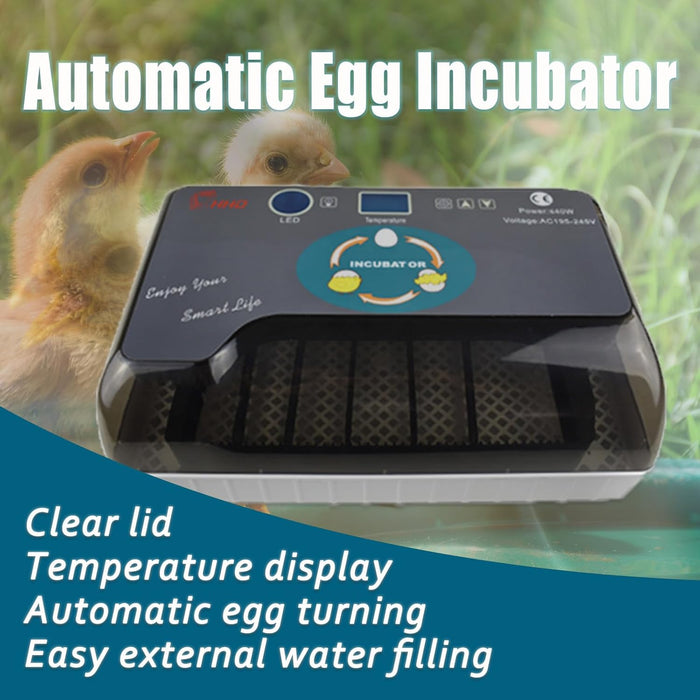 Incubadora automática para 12 - 35 huevos con volteador automático - Quierox - Tienda Online