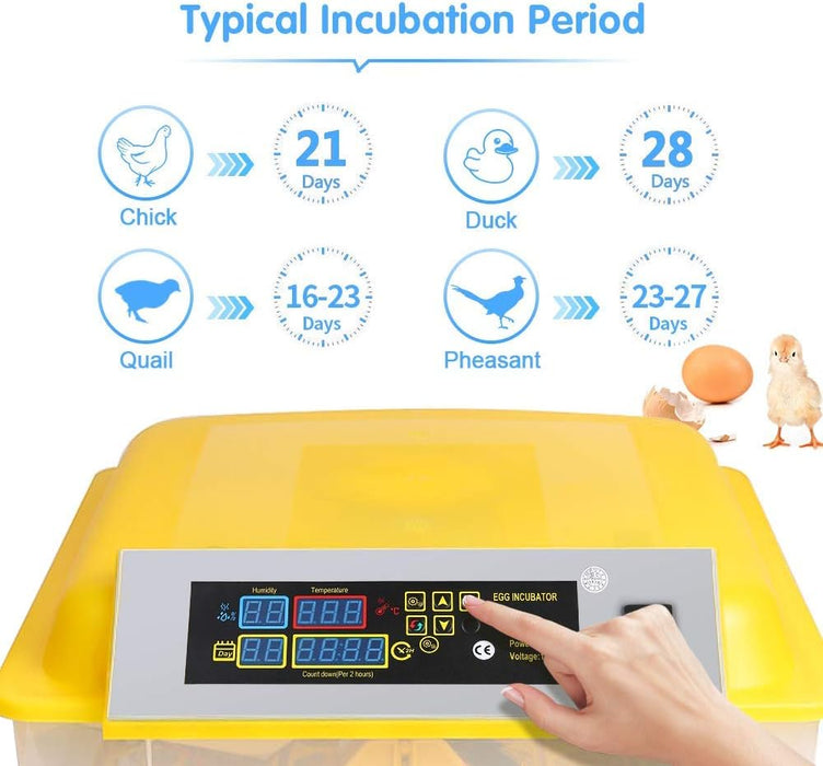 Incubadora de huevos 48 huevos Incubadoras digitales totalmente automáticas - Quierox - Tienda Online
