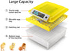 Incubadora de huevos 48 huevos Incubadoras digitales totalmente automáticas - Quierox - Tienda Online