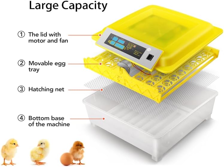 Incubadora de huevos 48 huevos Incubadoras digitales totalmente automáticas - Quierox - Tienda Online