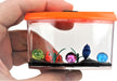 JA - RU Magic Grow - Acuario - Juego de juguetes de crecimiento de peces (1 unidad) - Quierox - Tienda Online