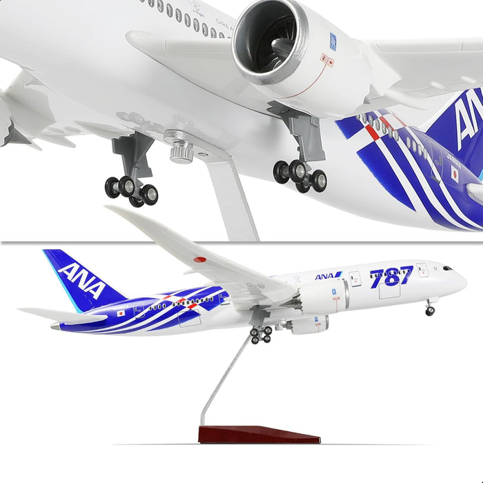 Japón ANA 1/160 787 - Modelo de avión a gran escala con soporte para Boeing 787 - 8 - Quierox - Tienda Online