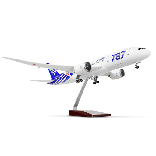 Japón ANA 1/160 787 - Modelo de avión a gran escala con soporte para Boeing 787 - 8 - Quierox - Tienda Online
