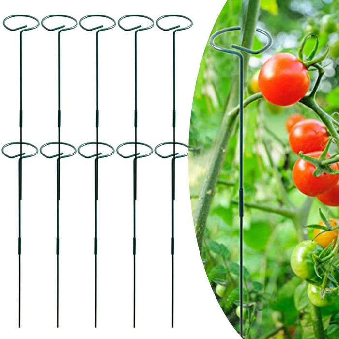Juego de 8 estacas de soporte para plantas de interior y exterior, ideales para jardín y flores. - Quierox - Tienda Online