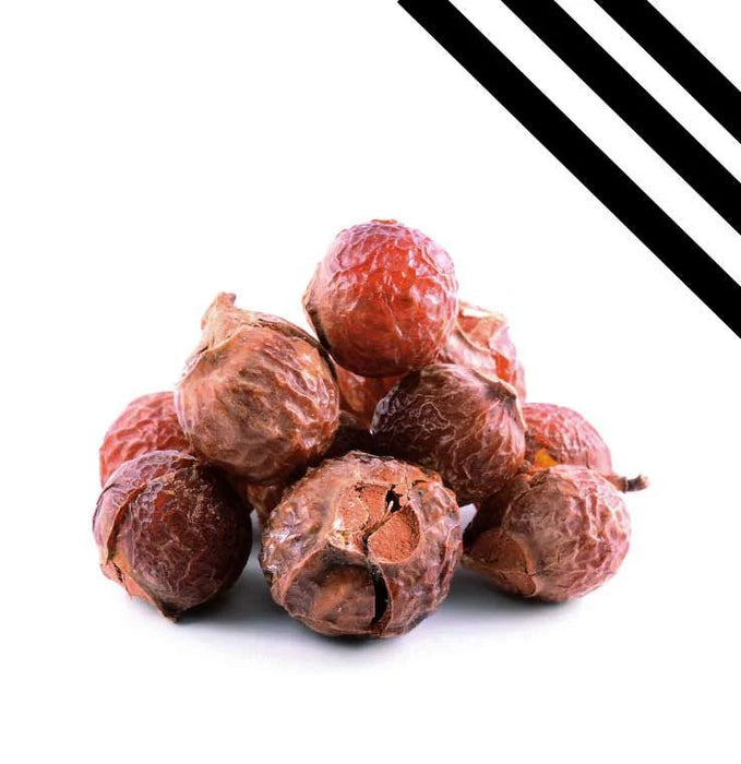 Kit de inicio para el lavado de nueces de jabón Lavé Nuts® - Quierox - Tienda Online