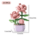 Kits de construcción de plantas en maceta DIY, modelos de flores suculentas - Quierox - Tienda Online