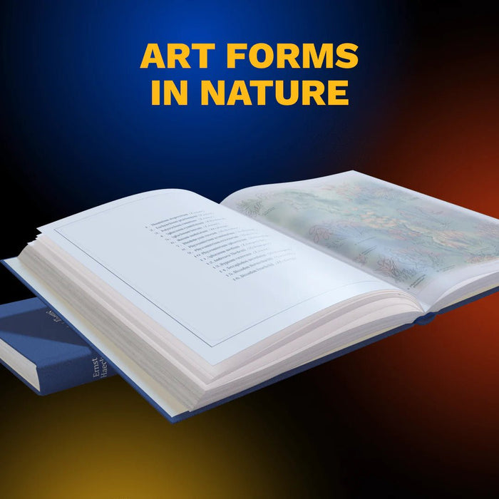 La caja de curiosidades Caja de legado - Quierox - Tienda Online