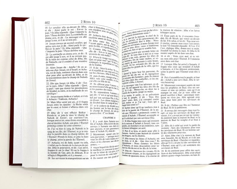 La Santa Biblia – idioma francés - Quierox - Tienda Online