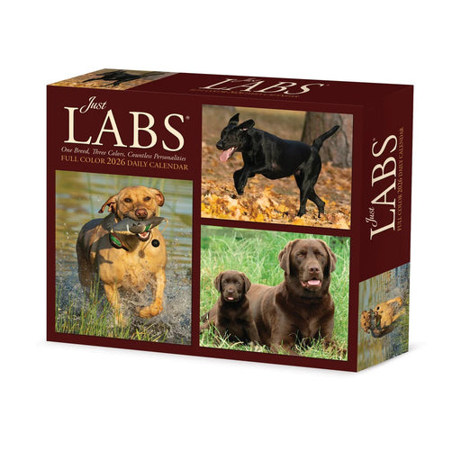 Laboratorios 2026 - Página en caja por día - Quierox - Tienda Online
