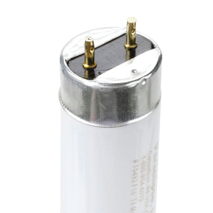 Lámpara ultravioleta de repuesto para Insect Inn Ultra I y II - Quierox - Tienda Online