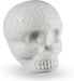 Latin Percussion Calavera de azúcar, coctelera - Quierox - Tienda Online