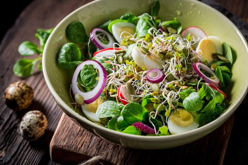 Mezcla de brotes para ensalada Nature Jims Sprouts - Quierox - Tienda Online
