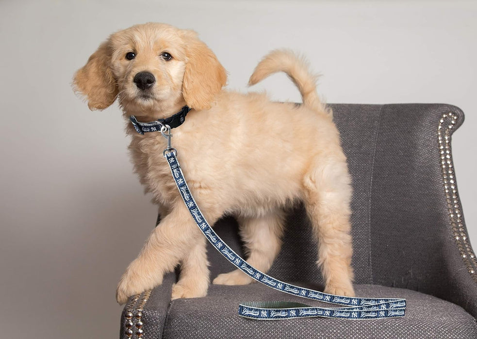 MLB Pet - Correa grande para perro de los Yankees de Nueva York - Quierox - Tienda Online