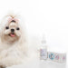 My Cuteness Gotas quitamanchas de lágrimas 50 ml - Quierox - Tienda Online