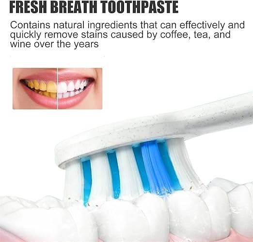 Pasta de dientes probiótica Sp 8,uidado de limpieza profunda - Quierox - Tienda Online