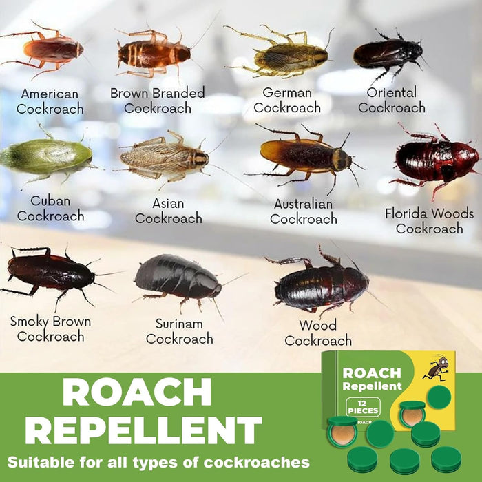 Pck de 12 cebos en gel y insecticidas para cucarachas en interiores y exteriores - Quierox - Tienda Online