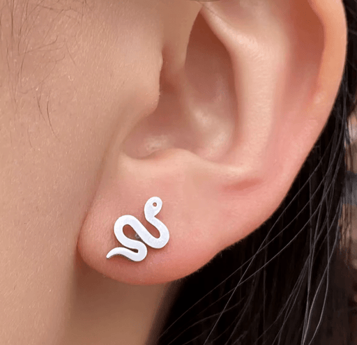 Pendientes De Serpiente Diminutos Minimalistas, Lindos Y Sencillos Para Hombres - Quierox - Tienda Online