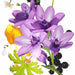Perfume en bruma hidratante y refrescante KOEC Moon Violet Purple de 50 ml - Quierox - Tienda Online