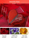 Perfume para mujer SHIMANG, 1 frasco, 50 ml - Quierox - Tienda Online