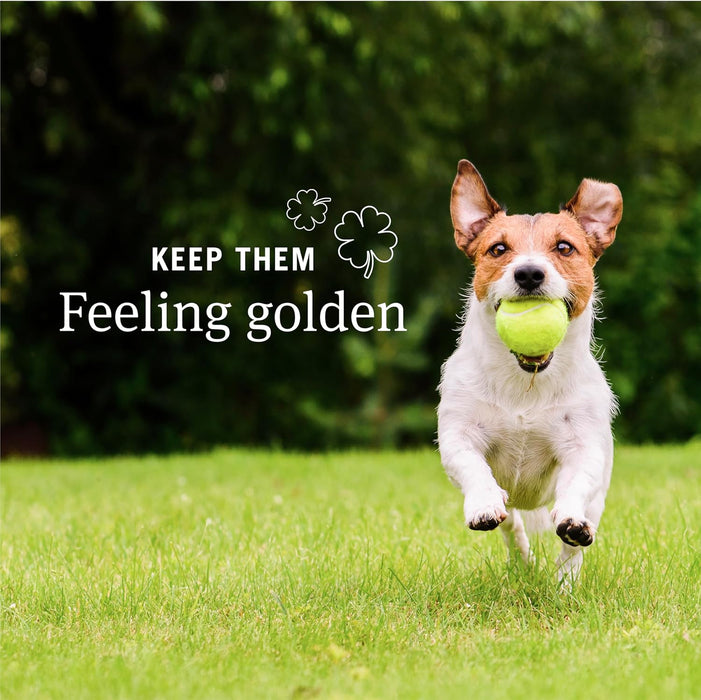 PetArmor - Desgusano desparasitador para perros (7 vías, pirantel pamoate y praziquantel) - Quierox - Tienda Online