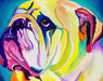 PINTURA COLORIDA BULLDOG INGLÉS - Quierox - Tienda Online