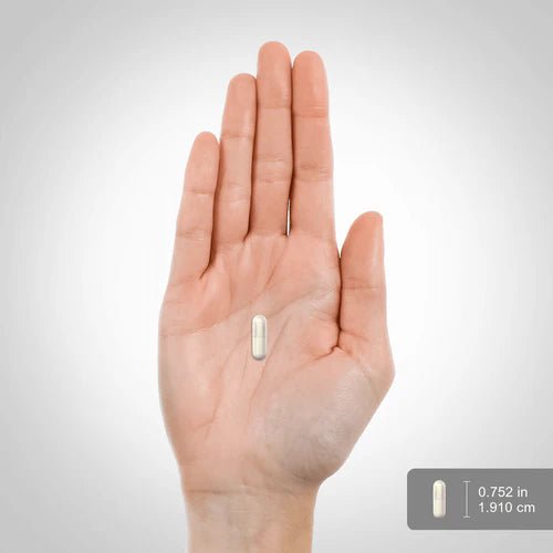 Piping Rock NAD, 260 mg (por porción), 60 cápsulas de liberación rápida - Quierox - Tienda Online