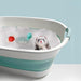 Piscina de plástico plegable para animales pequeños, bañera de lavado plegable portátil - Quierox - Tienda Online