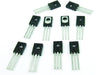 POPESQ® - Kit 20 x Transistores - Quierox - Tienda Online