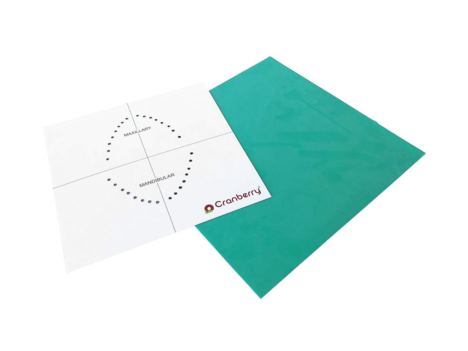 Presa de látex Cranberry Smart Dam con aroma a menta verde - Quierox - Tienda Online