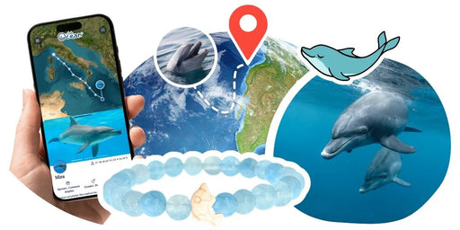 Pulsera de seguimiento de delfines - Quierox - Tienda Online
