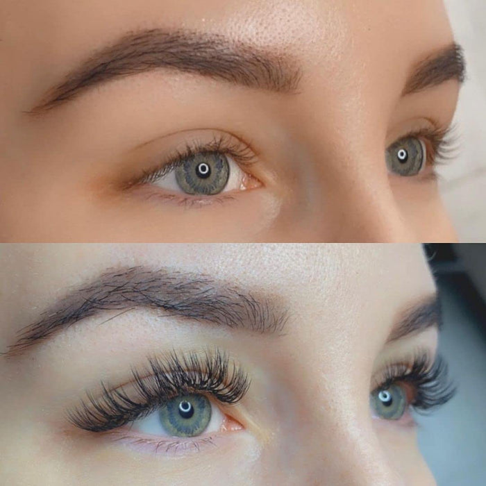 QUEWEL Suministros de extensión de pestañas 0.03 C Curl Mix-8-15 mm - Quierox - Tienda Online