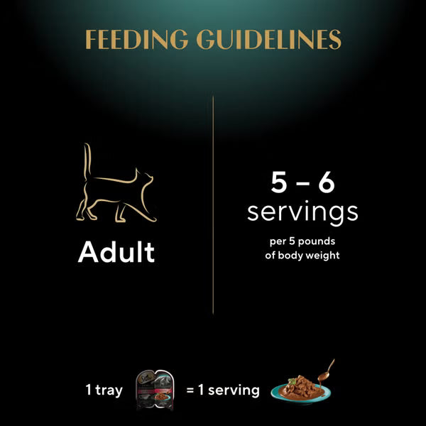 SHEBA® GRAVY INDULGENCE™ PERFECT PORTIONS™ Plato principal de carne en salsa extra