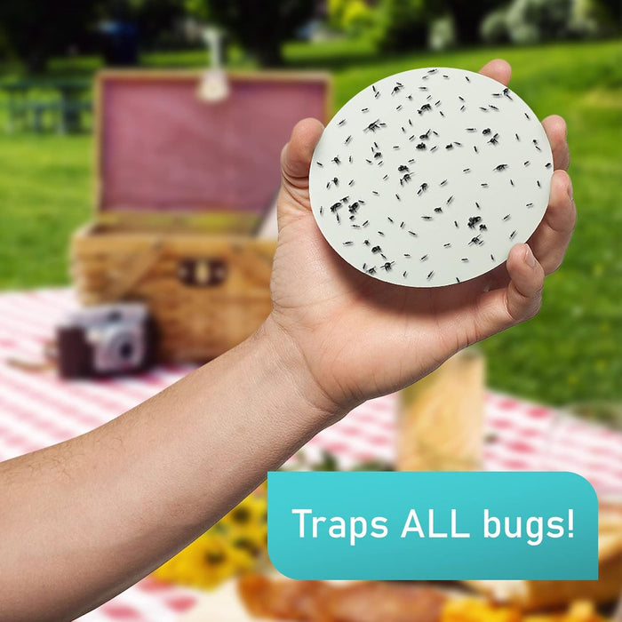 Recambio de tableros de pegamento compatibles con trampa de insectos KATCHY - Quierox - Tienda Online