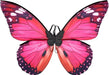 RENEMEGO Alas de mariposa para mujeres adultas - Quierox - Tienda Online