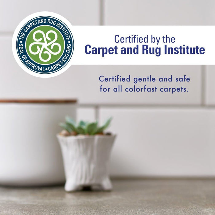 Rocco & Roxie Eliminador de manchas y olores, con energía enzimática, para orina de perros y gatos, 32 onza - Quierox - Tienda Online