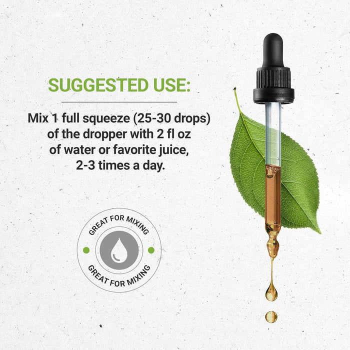 Rompepiedras (Chanca Piedra) 4fl.oz - Quierox - Tienda Online