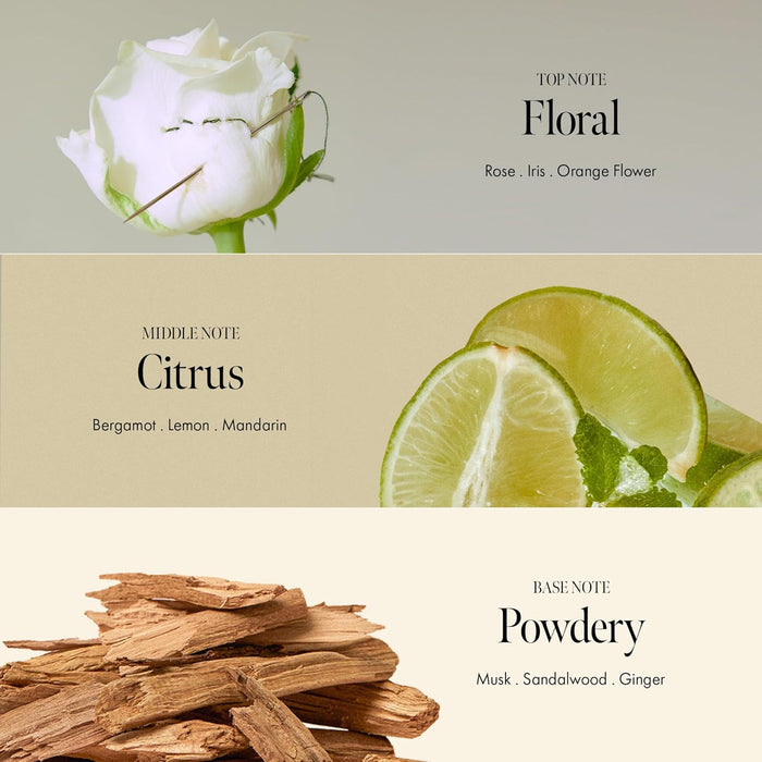 Rosy Night Tratamiento de ampolla para cabello dañado 6.76oz - Quierox - Tienda Online