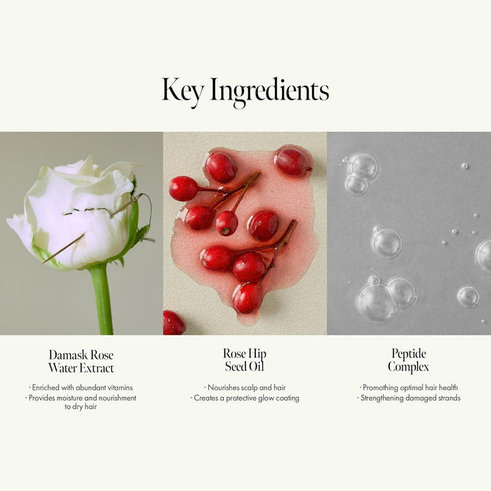 Rosy Night Tratamiento de ampolla para cabello dañado 6.76oz - Quierox - Tienda Online