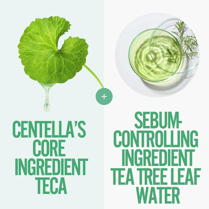 Tecateca - Almohadilla de tóner calmante vegana, 70 unidades de 3.6 fl oz