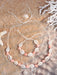 Set de 2 piezas de pulsera y collar con flores de arcilla polimérica y conchas - Quierox - Tienda Online