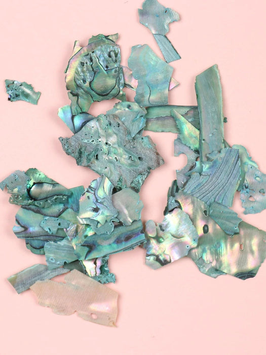 Shein 1 caja de mica iridiscente y concha de abulón para decoración de uñas - Quierox - Tienda Online