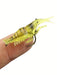 Shein 1 paquete de 5 piezas de cebo de pesca de gamba falsa - Quierox - Tienda Online