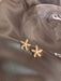 Shein 1 Par De Aretes De Estrella De Mar Simple Y Versátil - Quierox - Tienda Online