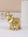 Shein 1 pieza Adorno de decoración para el hogar elefante de la suerte, adorno lindo para la sala - Quierox - Tienda Online