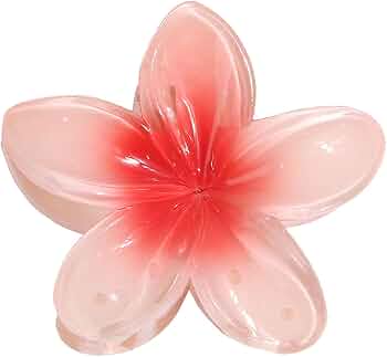Shein 1 pieza de Pinzas para el cabello de plástico ligero con forma de flor de hibisco - Quierox - Tienda Online